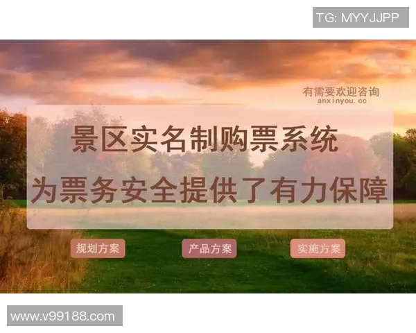 球迷假票事件调查揭露票务乱象及背后利益链条分析