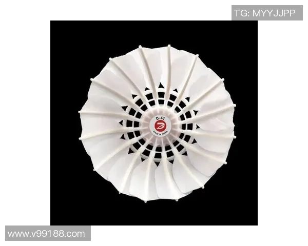 羽毛球训练设备的创新设计与使用效果分析及实践探索