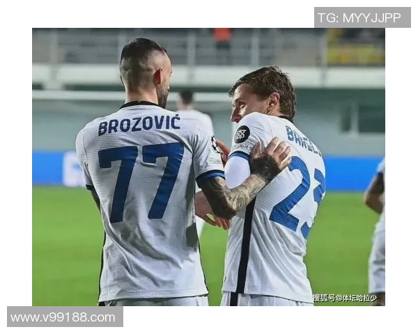 全球体坛最强兄弟姐妹组合排行榜 竞技天赋与默契对决